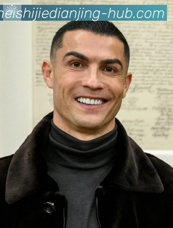 维尼修斯